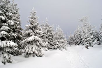 Uchodzi za zimową stolicę Polski. Tam dzisiaj jest najcieplej