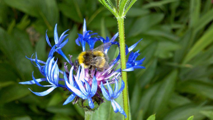Motorola XT720 - więcej o procesorze, próbne zdjęcia i data wejścia do sprzedaży 3