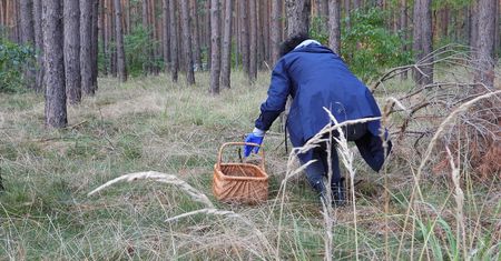 Fatalny sezon dla grzybiarzy. Spójrzcie, ile kosztują podgrzybki