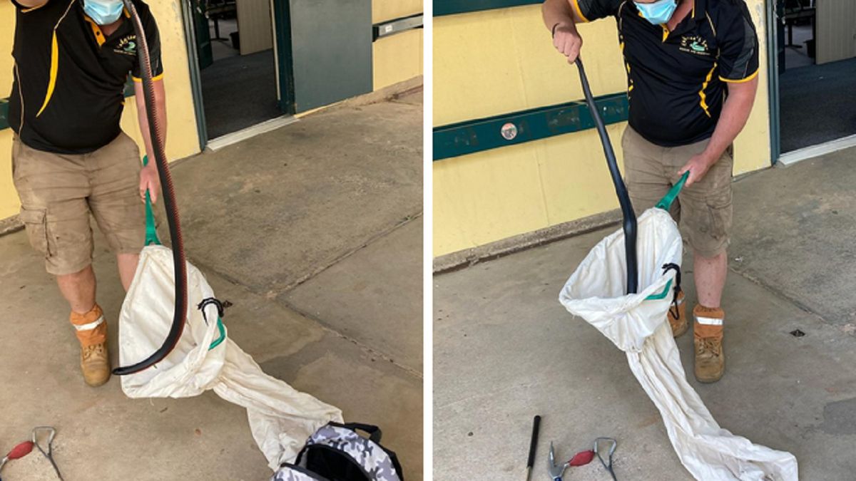 Uczeń w szkole w Australii 