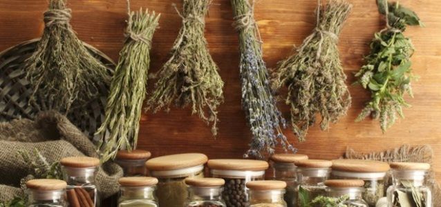 Podsumowanie testu konsumenckiego Knorr