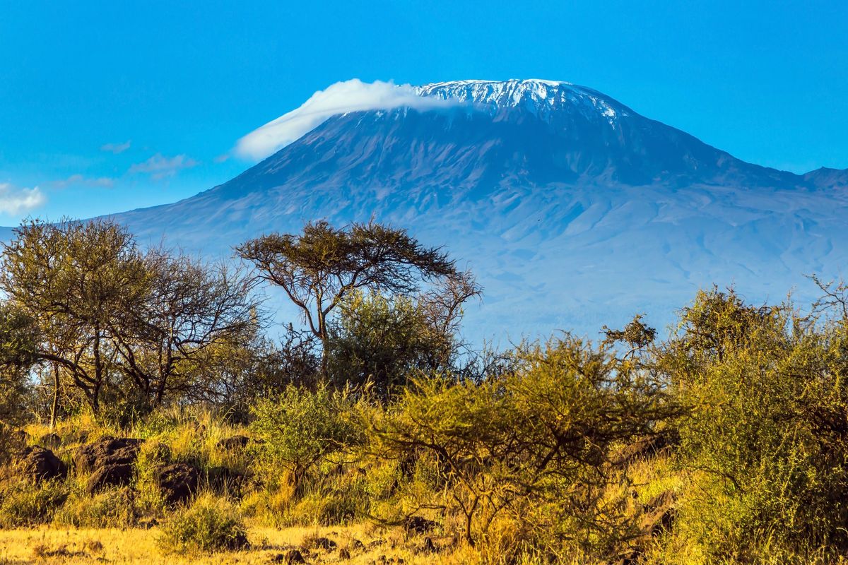Kilimandżaro
