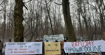 Zorganizowali spacer po Starym Gaju. Wycinki drzew wzbudziły sprzeciw mieszkańców Lublina