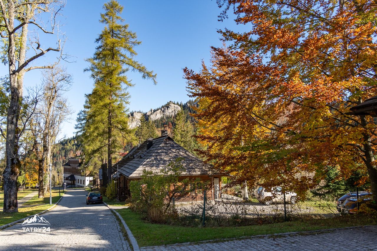 Kraków wyprzedza Zakopane. Jesień 2025 pod znakiem city breaków