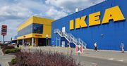 Komplet z IKEA za 20 zł. Pasuje do większości wnętrz
