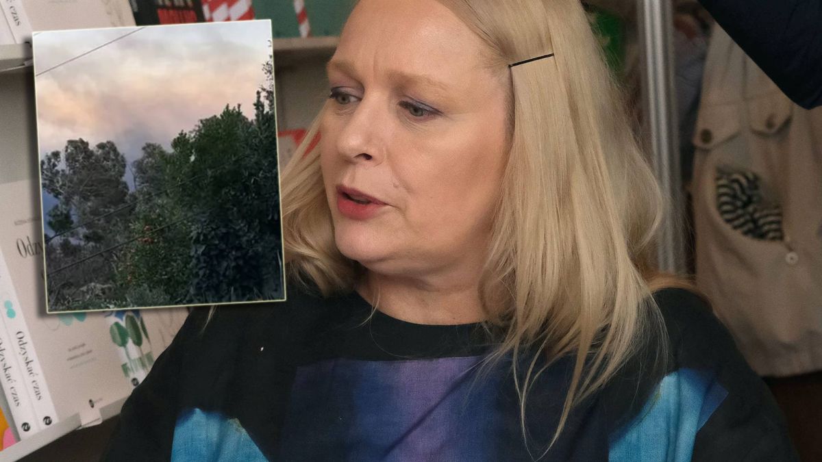 Nosowska o pożarach w Kalifornii