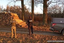 Lubań. Motocykliści i kłusownicy na cenzurowanym. Policjanci i leśniczy sprawdzają lasy