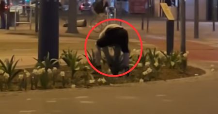 Noc, centrum Łodzi. Mężczyzna nagrany przy skrzyżowaniu