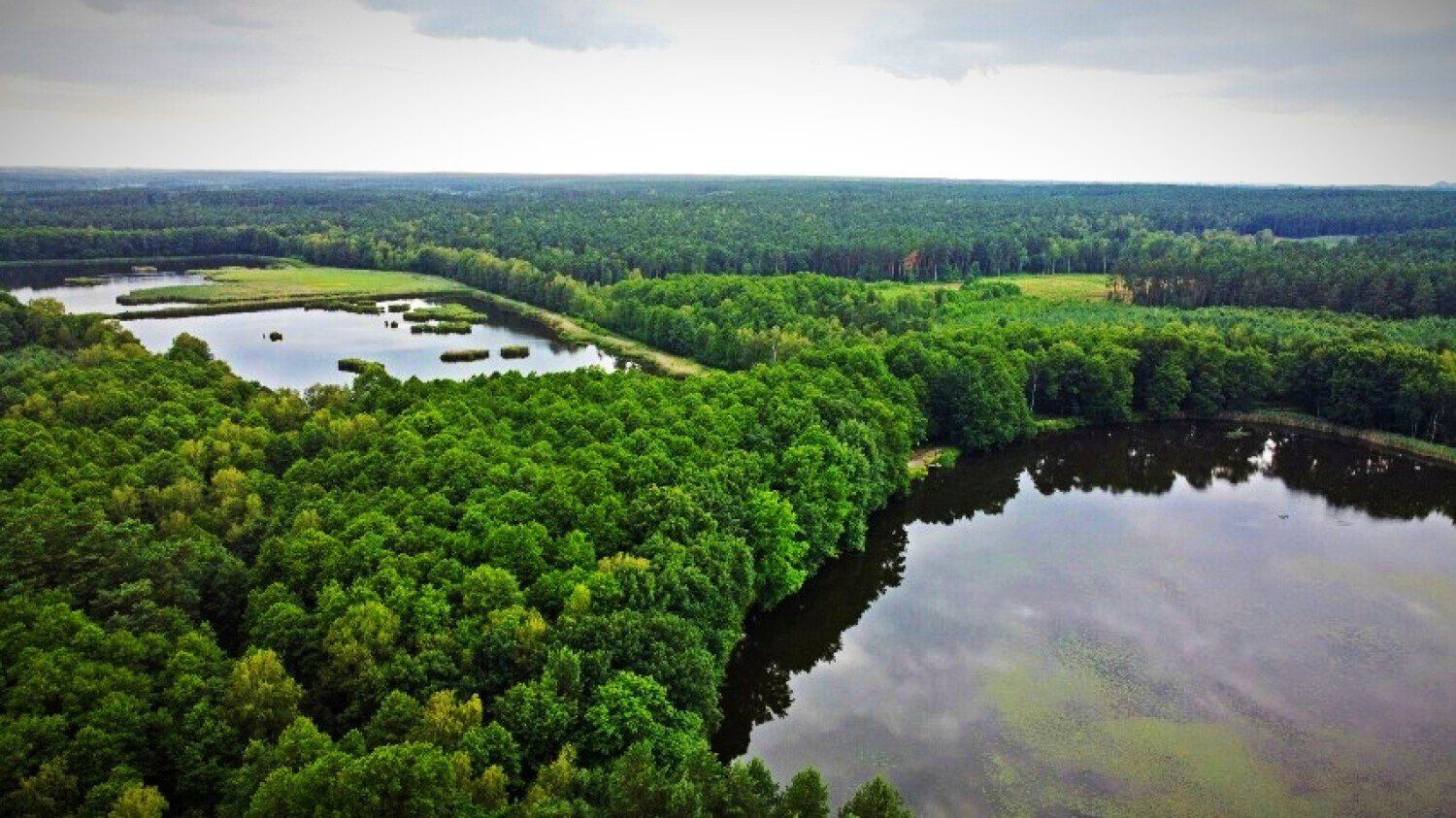 Pojezierze Palowickie - Rybnik