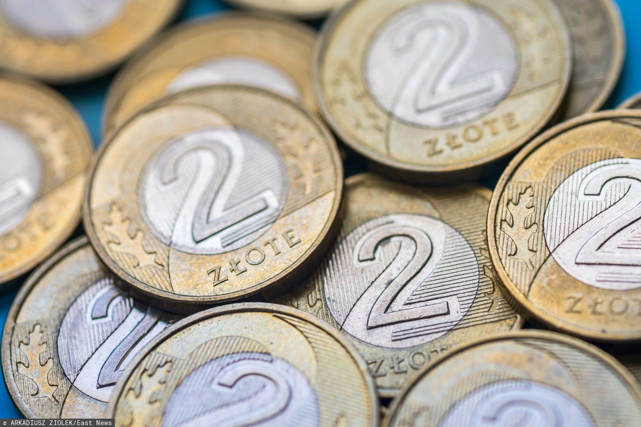 Ta moneta 2 zł jest warta krocie. Sprawdź, czy masz ją w portfelu