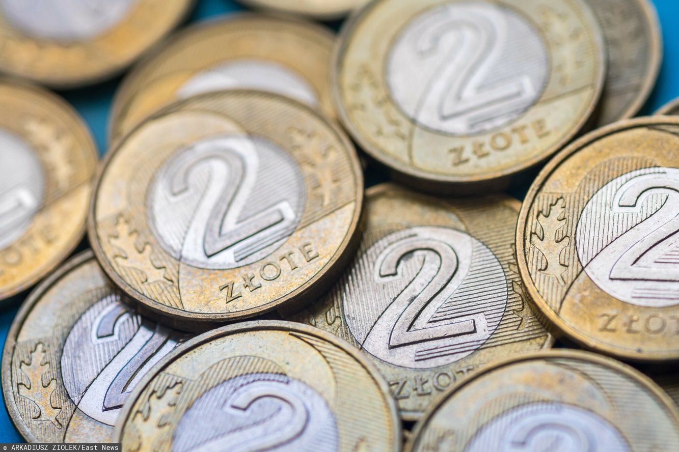 Cenne Dwuzłotówki z 1994 Roku: Sprawdź Swoje Portfele! Mogą Wartość Siegać Setek Złotych