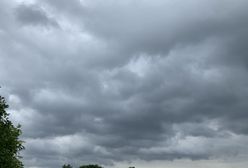 Wrocław. Ostrzeżenie IMGW. Intensywny deszcz nadciąga nad miasto