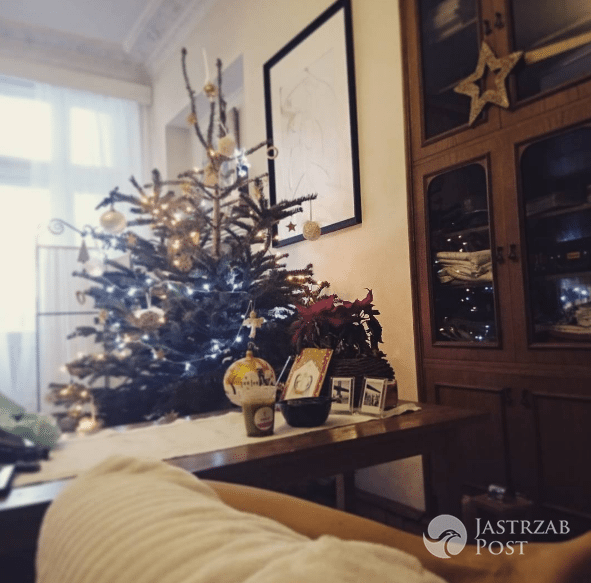 Choinka Anny Dec 2016