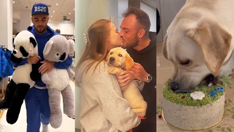 Karolina Pisarek relacjonuje ROCZEK swojego pieska: TORT, prezenty i urodzinowy spacer (ZDJĘCIA)