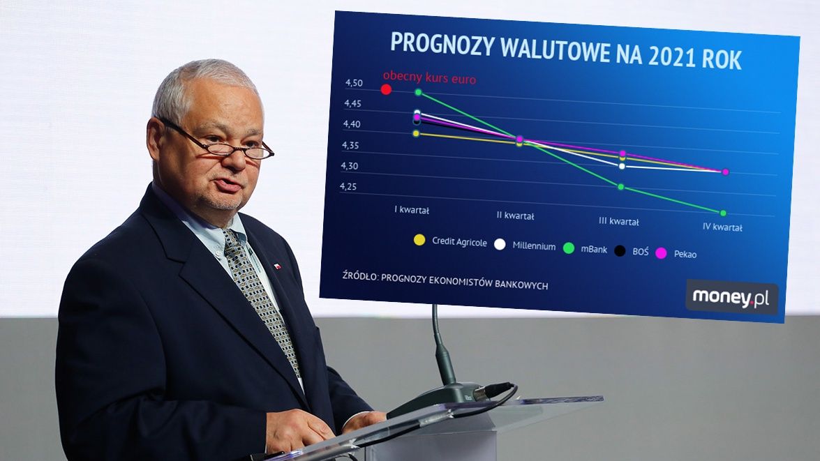 Mimo presji NBP, ekonomiści bankowi spodziewają się spadku kursu euro w przyszłym roku.