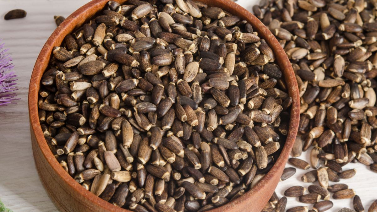 Nasiona ostropestu - Pyszności