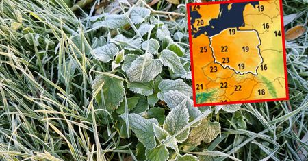 Jaka temperatura w "zimną Zośkę"? Synoptycy jasno
