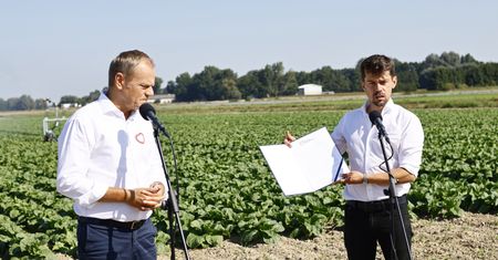 Kołodziejczak pojedzie do Brukseli. "Będziemy bronić rolnictwa"
