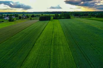 Rolnicy, firmy i instytucje zyskają łatwiejszy dostęp do danych ARiMR. Rząd przyjął nowe przepisy