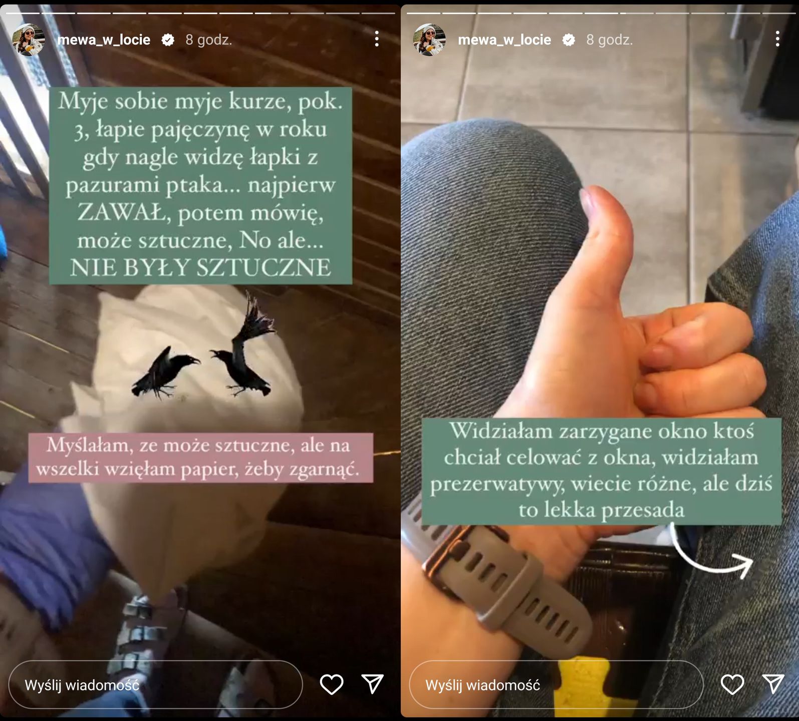 Cienie pracy w schronisku