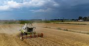 Polscy rolnicy boją się ukraińskiego zboża. Jest czego?