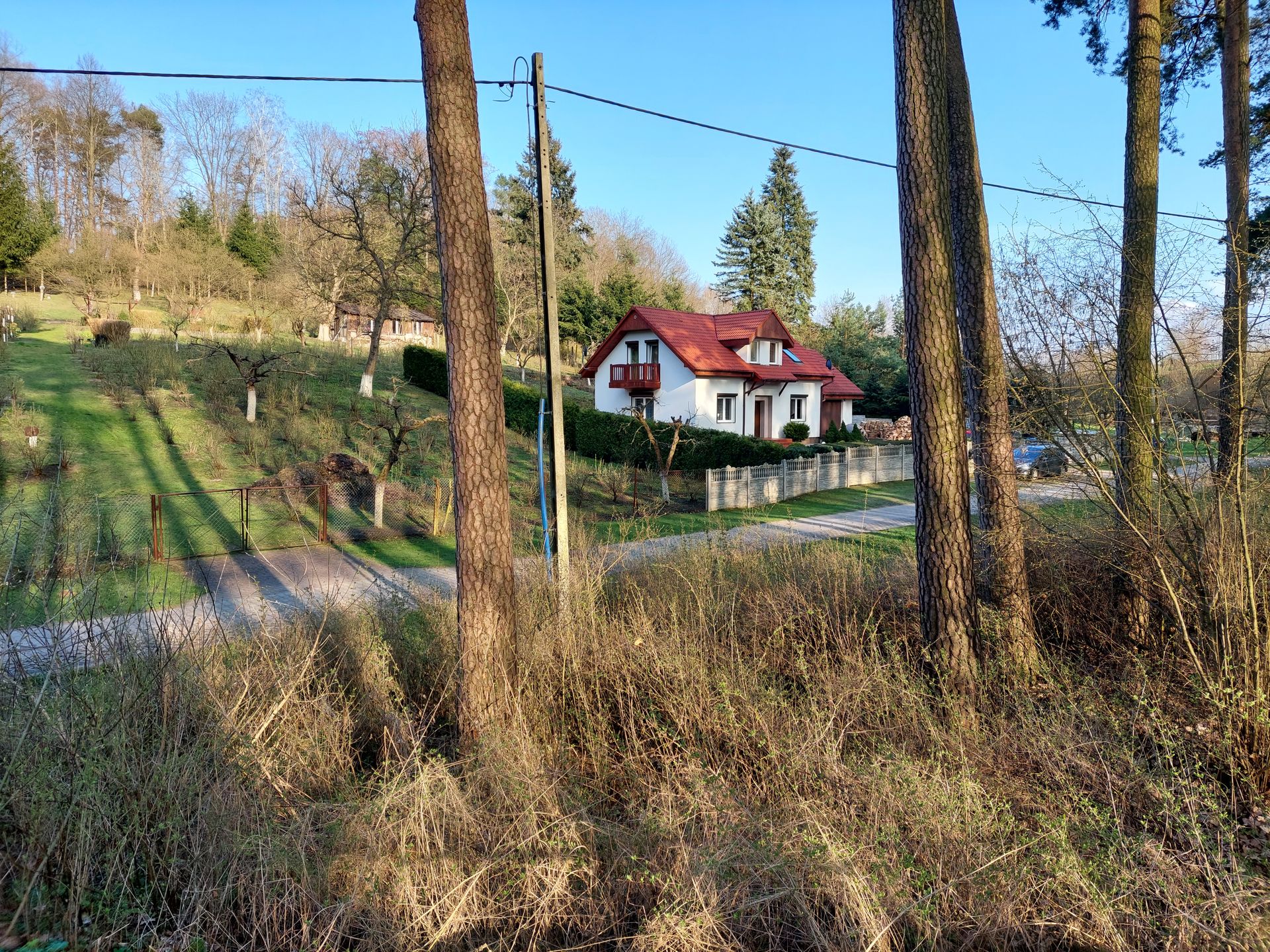 Smartfon szyty na miarę. Test Samsunga Galaxy A52 5G 42