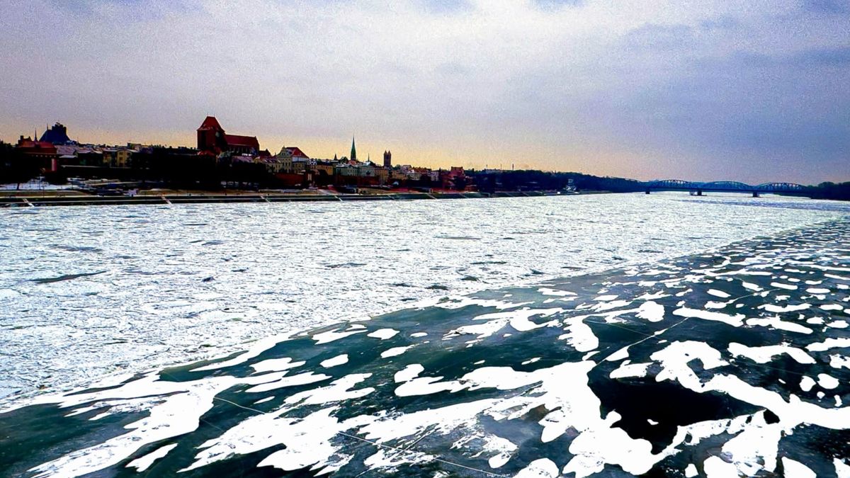 Widok na Toruń