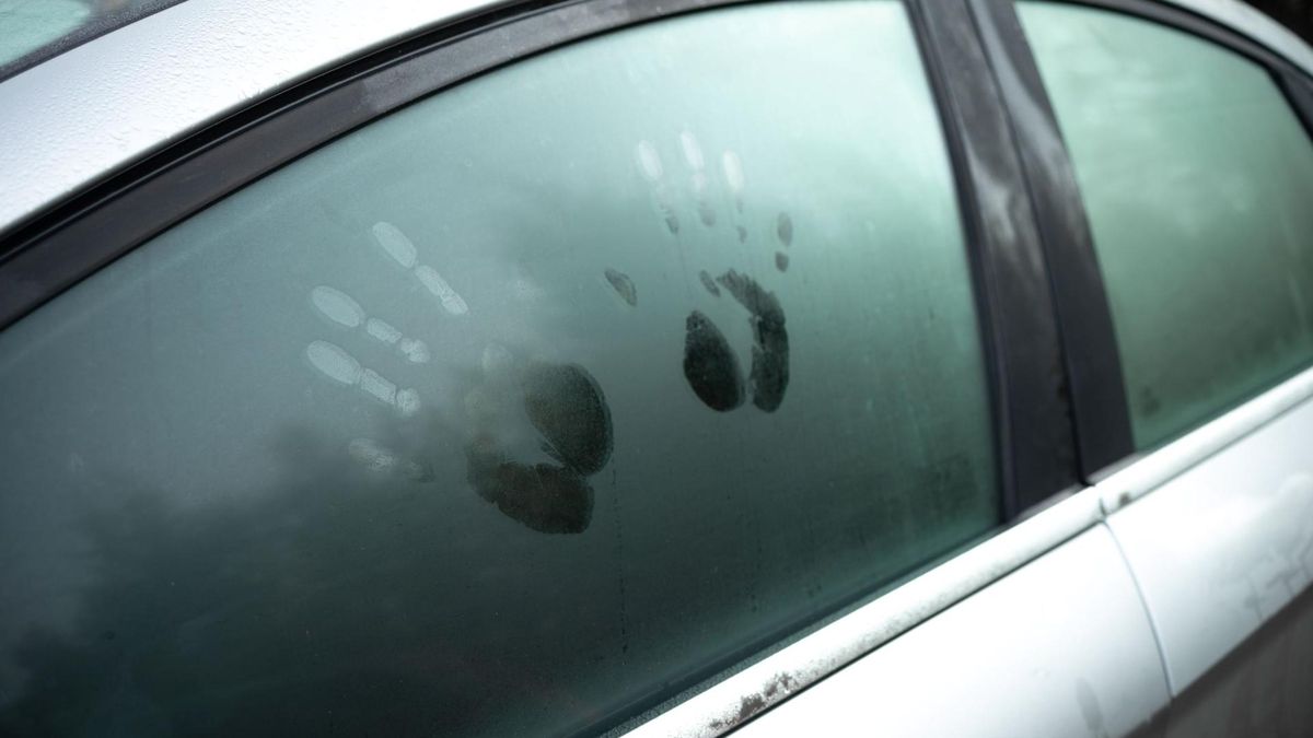 Dogging to nazwa określająca nie tylko ryzykowne zachowanie seksualne polegające na uprawianiu seksu w miejscach publicznych, takich jak ogród czy parking.