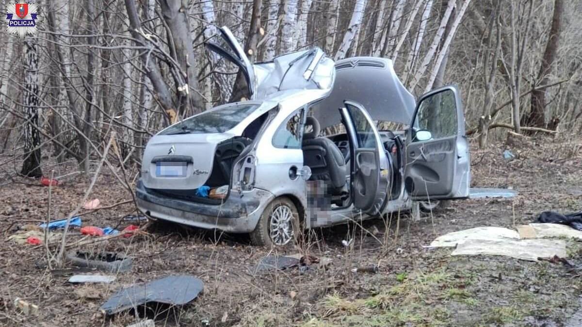 Citroen wypadł z drogi i uderzył w drzewo