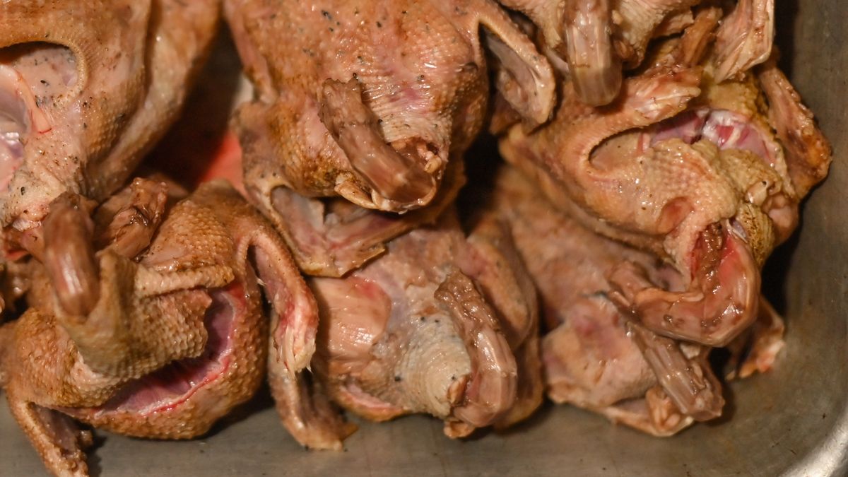 Mięso z gołębia jest wyjątkowo delikatne