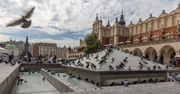 Kraków: "Gołębiami brukowane" miasto chce mieć mniej tych ptaków