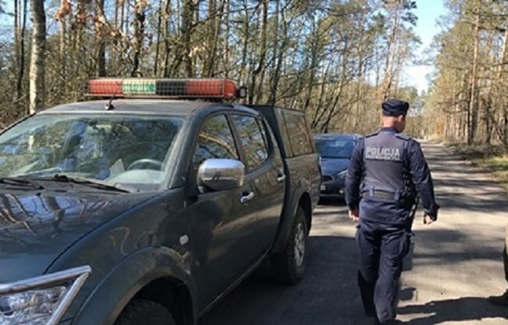 Ktoś kradnie drzewa. Policja szuka pokrzywdzonych właścicieli lasu
