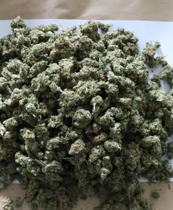 Będzin. Schował marihuanę w piwnicy, schowek zawiódł