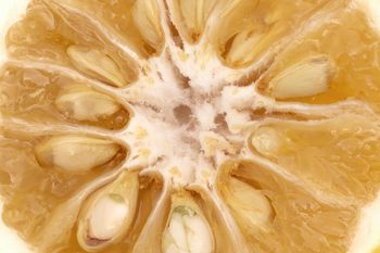 Wspomaga trawienie. Kup i dodawaj do tłustych dań, a poczujesz różnicę