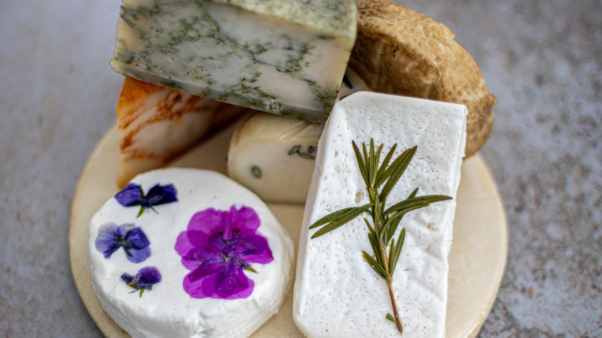 Sery to jedne z polskich skarbów kulinarnych