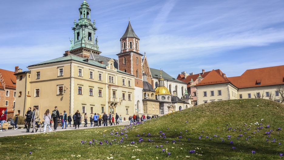 Crocus flowers are blooming at the outer courtyard of Wawel Royal Castle during a sunny Saturday in Krakow, Poland on March 18, 2023.  (Photo by Beata Zawrzel/NurPhoto via Getty Images)
