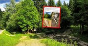Taki widok w Bieszczadach. Zdjęcia obiegają sieć. Ręce opadają