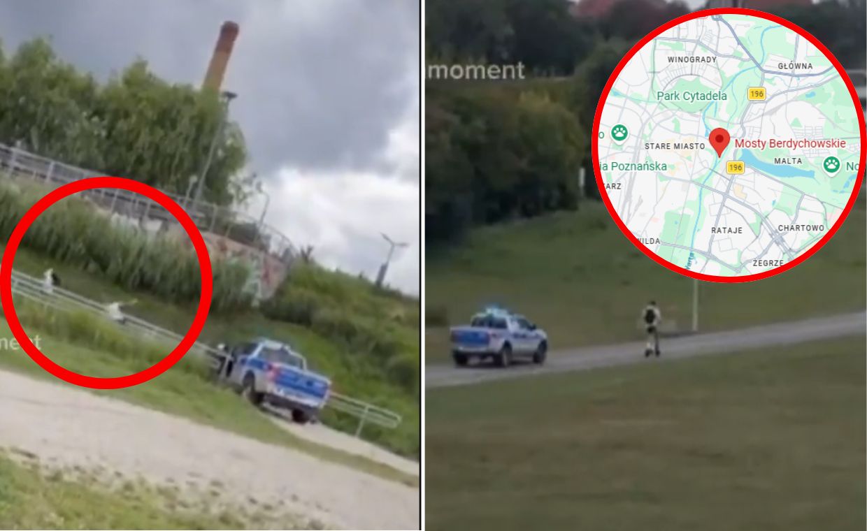 Hulajnogi elektryczne jako broń ucieczki: Jak policja walczy z nową falą absurdalnych pościgów