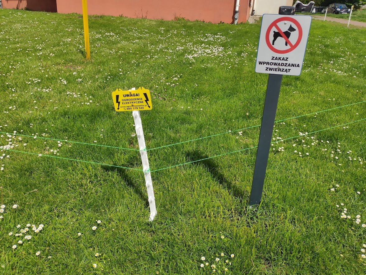 Pastuch elektryczny okala trawnik i plac zabaw na gdańskim osiedlu Łostowice