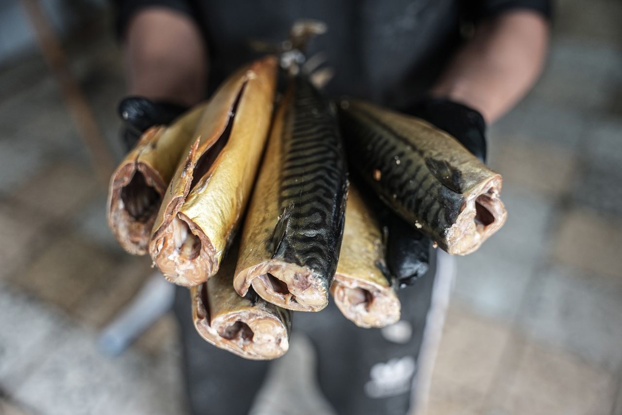 O 40 proc. więcej kwasów omega-3. Tańsza alternatywa łososia
