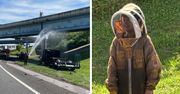 Rój pszczół na autostradzie. Niecodzienny incydent w USA
