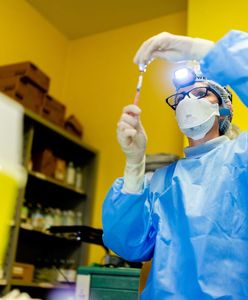 Szczepionki na COVID-19 w zepsutej zamrażarce. Szpital miał dwie godziny