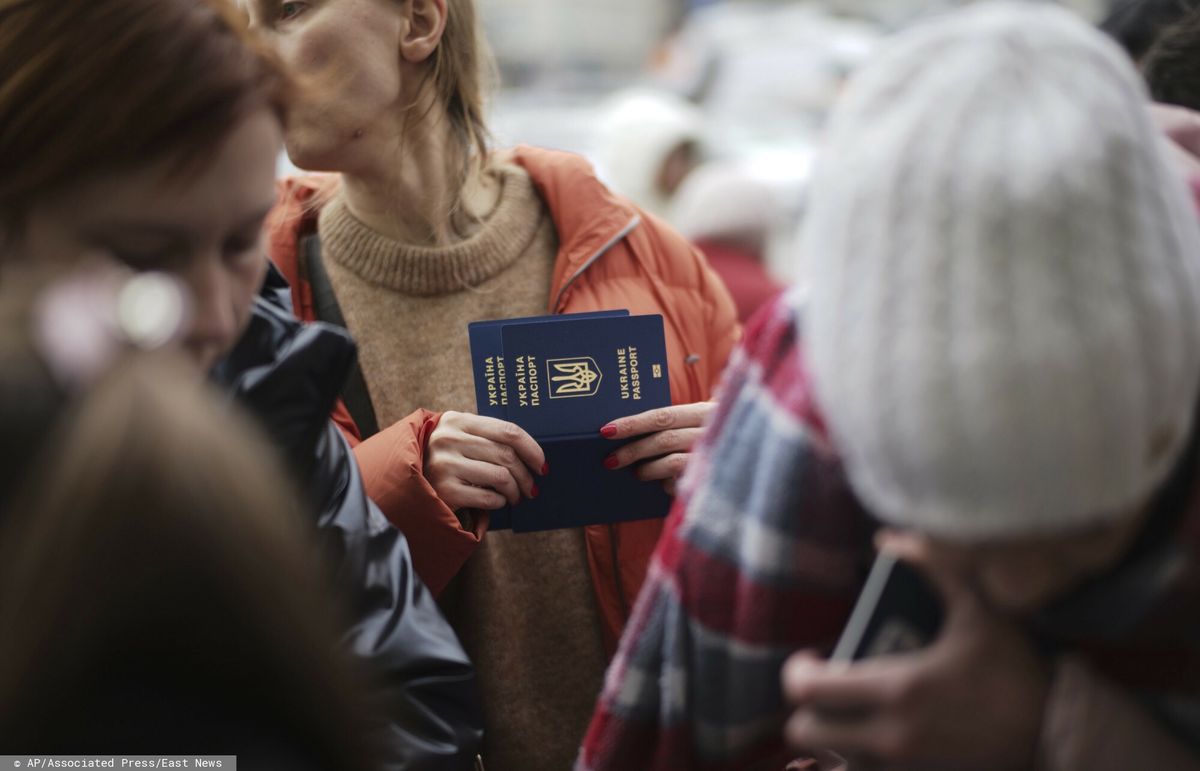 wojna w Ukrainie, wojna na ukrainie, ukraińcy, rosjanie, wojna, władimir putin, niemcy, uchodźcy Rewolucja w Niemczech? Chcą zmiany dla ukraińskich uchodźców