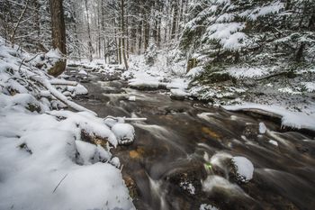 Czechy pokryte śniegiem. Rekordowe opady