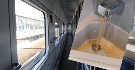 Pasażer był w szoku. To, co zobaczył w pociągu go obrzydziło