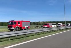 Wypadek autokaru z dziećmi na S3