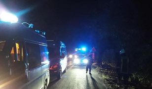 Wielkopolska. Śmiertelny wypadek. Motocyklista uderzył w drzewo