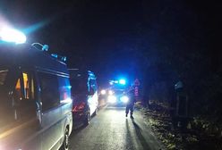 Wielkopolska. Śmiertelny wypadek. Motocyklista uderzył w drzewo