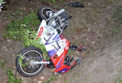Lubelskie: Motocyklista zderzył się z łosiem. 21-latek nie żyje
