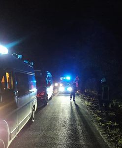 Wielkopolska. Śmiertelny wypadek. Motocyklista uderzył w drzewo